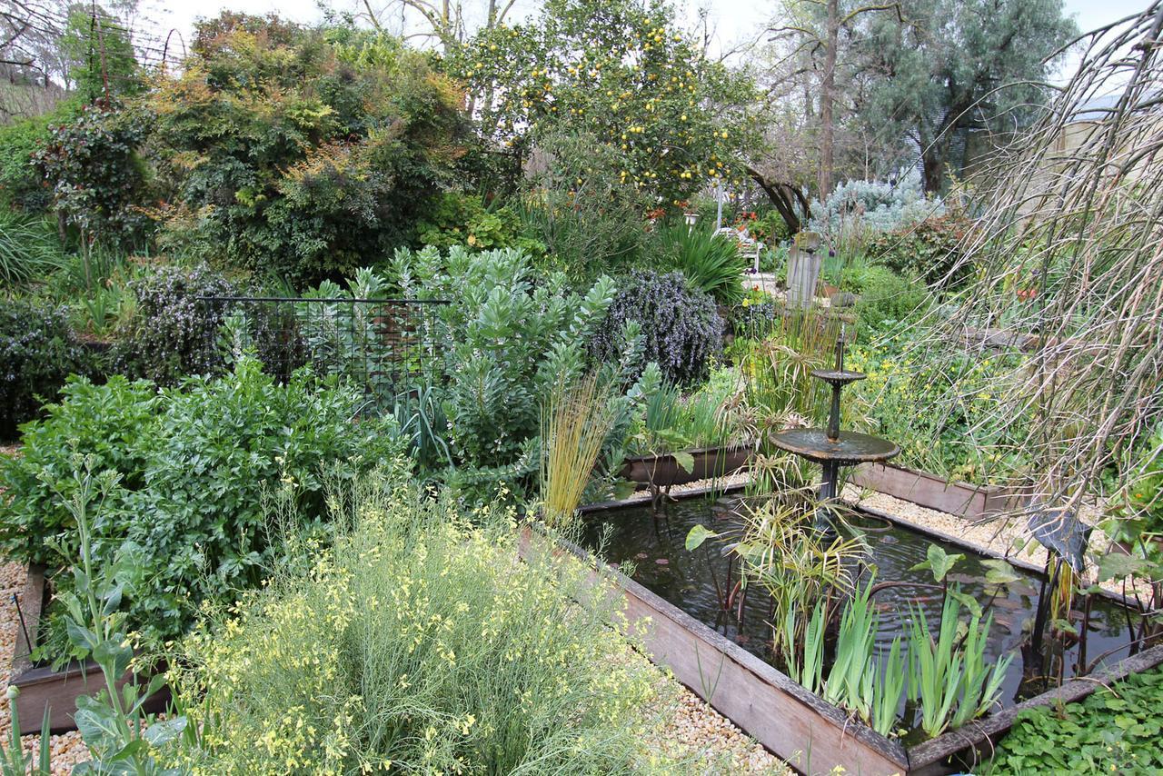 Palm House Bed and Breakfast Maldon Εξωτερικό φωτογραφία